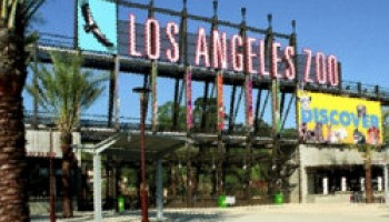 Los Angeles Zoo Coupons