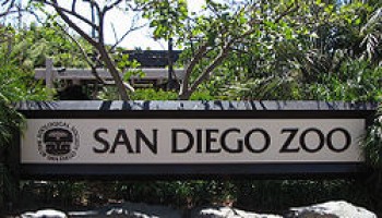 San Diego Zoo Coupons