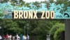Bronx Zoo Coupons