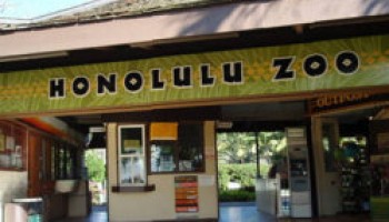 Honolulu Zoo Coupons