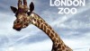 London Zoo Coupons